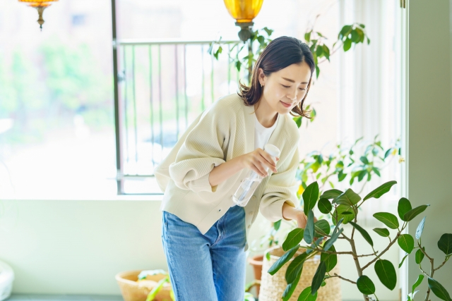 生活に充実感がある